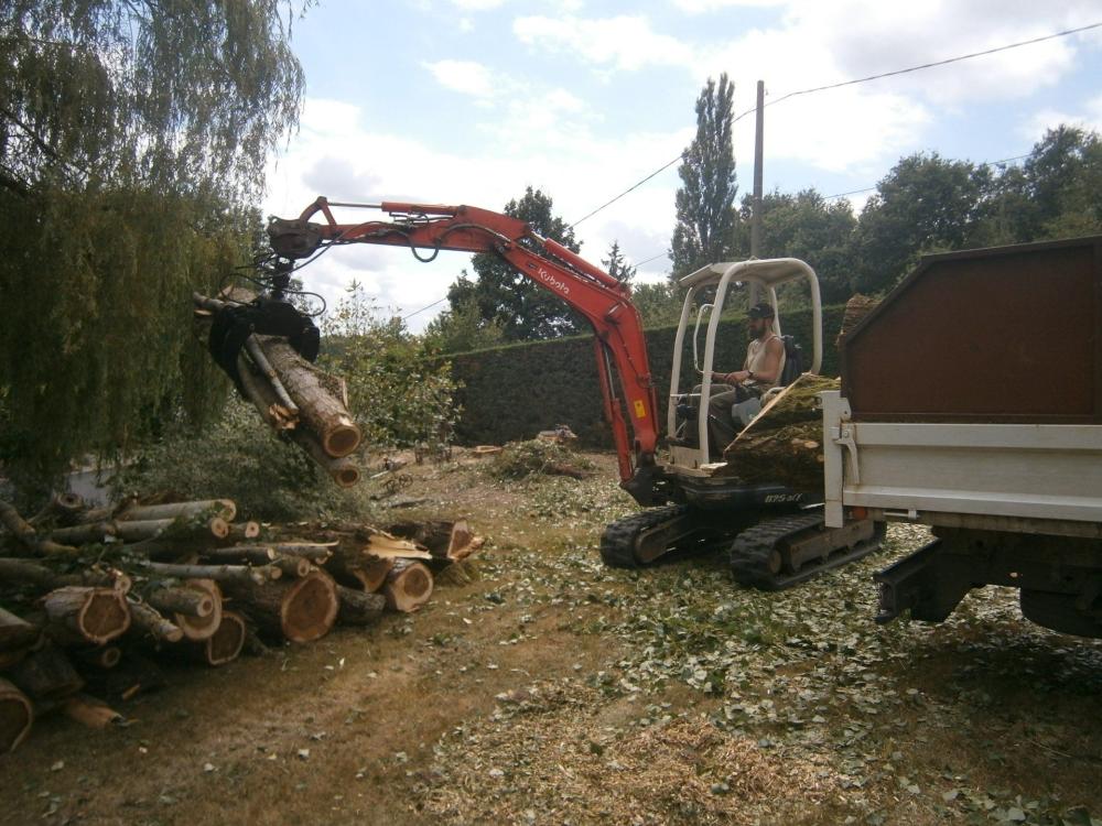 travaux élagage
